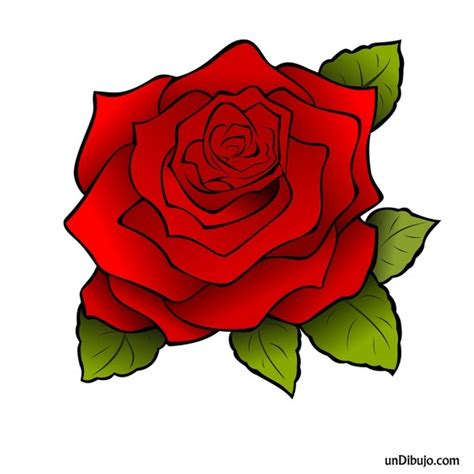 imágenes de rosas grandes|imagen de rosas para imprimir.